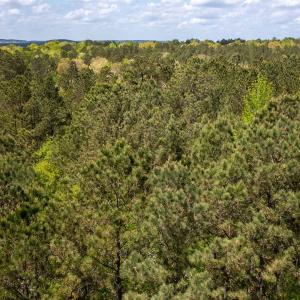 Photo #15 of Off North State Lane, Rockingham, NC 1.1 acres