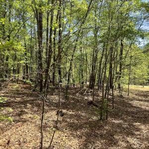 Photo #18 of Off North State Lane, Rockingham, NC 1.1 acres