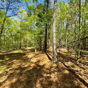 Photo #19 of Off North State Lane, Rockingham, NC 1.1 acres