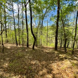 Photo #20 of Off North State Lane, Rockingham, NC 1.1 acres