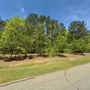 Photo #3 of Off North State Lane, Rockingham, NC 1.1 acres