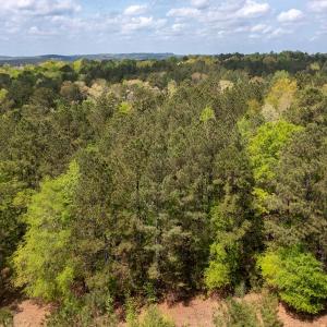 Photo #4 of Off North State Lane, Rockingham, NC 1.1 acres