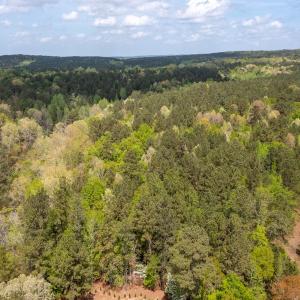 Photo #5 of Off North State Lane, Rockingham, NC 1.1 acres