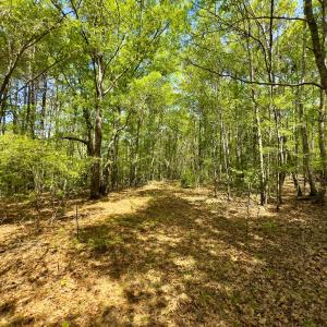 Photo #8 of Off North State Lane, Rockingham, NC 1.1 acres