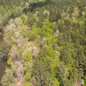 Photo #9 of Off North State Lane, Rockingham, NC 1.1 acres