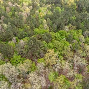 Photo #21 of Off North State Lane, Rockingham, NC 1.1 acres