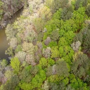 Photo #22 of Off North State Lane, Rockingham, NC 1.1 acres