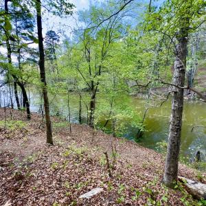 Photo #23 of Off North State Lane, Rockingham, NC 1.1 acres