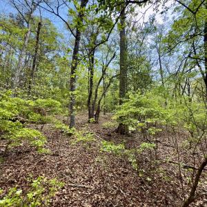 Photo #24 of Off North State Lane, Rockingham, NC 1.1 acres
