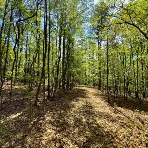 Photo #25 of Off North State Lane, Rockingham, NC 1.1 acres