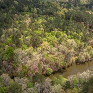 Photo #26 of Off North State Lane, Rockingham, NC 1.1 acres