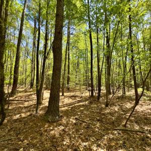 Photo #27 of Off North State Lane, Rockingham, NC 1.1 acres
