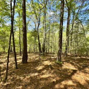 Photo #28 of Off North State Lane, Rockingham, NC 1.1 acres
