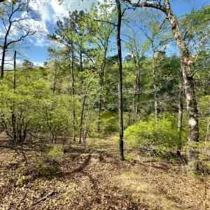 Photo #29 of Off North State Lane, Rockingham, NC 1.1 acres