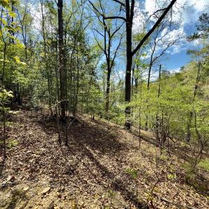 Photo #30 of Off North State Lane, Rockingham, NC 1.1 acres