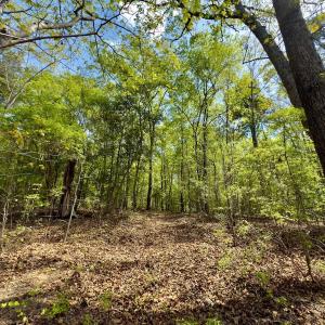 Photo #31 of Off North State Lane, Rockingham, NC 1.1 acres