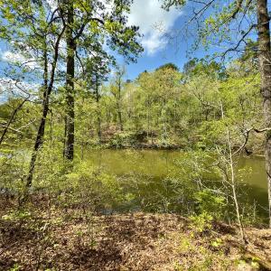 Photo #32 of Off North State Lane, Rockingham, NC 1.1 acres