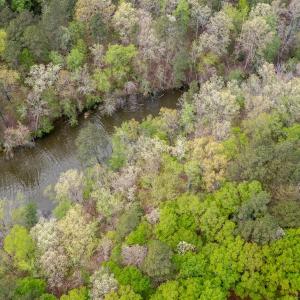 Photo #33 of Off North State Lane, Rockingham, NC 1.1 acres