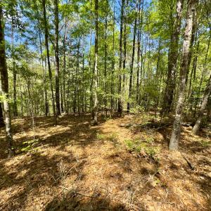 Photo #36 of Off North State Lane, Rockingham, NC 1.1 acres