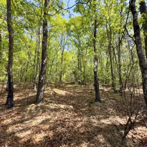 Photo #37 of Off North State Lane, Rockingham, NC 1.1 acres