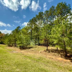 Photo #39 of Off North State Lane, Rockingham, NC 1.1 acres
