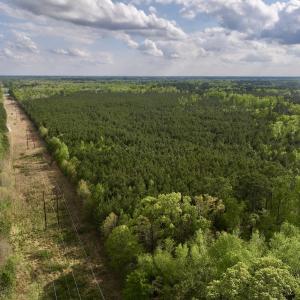Photo #13 of Off NC 33 E, Grimesland, NC 131.0 acres