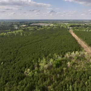 Photo #1 of Off NC 33 E, Grimesland, NC 131.0 acres
