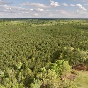 Photo #2 of Off NC 33 E, Grimesland, NC 131.0 acres