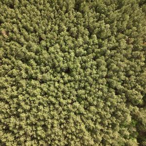 Photo #22 of Off NC 33 E, Grimesland, NC 131.0 acres