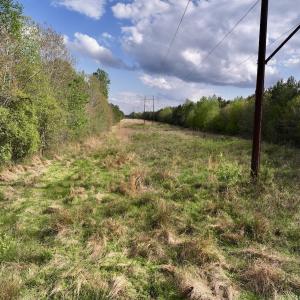 Photo #24 of Off NC 33 E, Grimesland, NC 131.0 acres