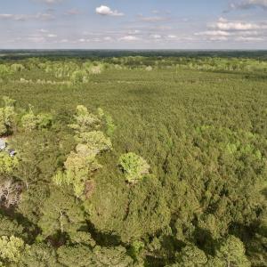 Photo #3 of Off NC 33 E, Grimesland, NC 131.0 acres