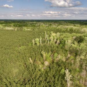 Photo #4 of Off NC 33 E, Grimesland, NC 131.0 acres