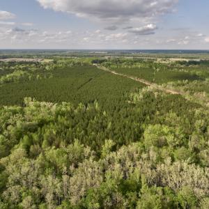 Photo #5 of Off NC 33 E, Grimesland, NC 131.0 acres