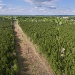 Photo #6 of Off NC 33 E, Grimesland, NC 131.0 acres
