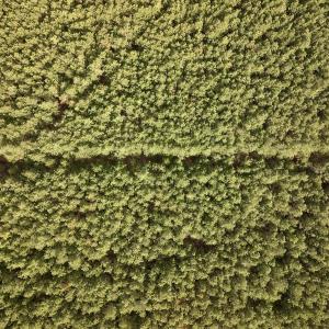 Photo #9 of Off NC 33 E, Grimesland, NC 131.0 acres