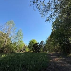 Photo #10 of 5829 Flower Hill Road, Kenly, NC 4.9 acres