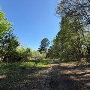 Photo #11 of 5829 Flower Hill Road, Kenly, NC 4.9 acres