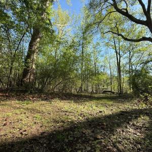 Photo #17 of 5829 Flower Hill Road, Kenly, NC 4.9 acres