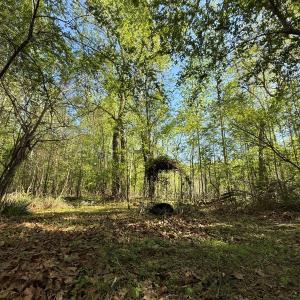 Photo #18 of 5829 Flower Hill Road, Kenly, NC 4.9 acres