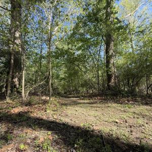 Photo #19 of 5829 Flower Hill Road, Kenly, NC 4.9 acres