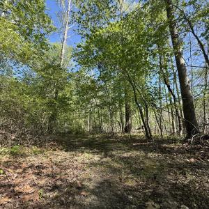 Photo #20 of 5829 Flower Hill Road, Kenly, NC 4.9 acres