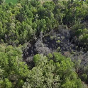 Photo #6 of 5829 Flower Hill Road, Kenly, NC 4.9 acres
