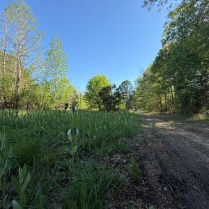 Photo #9 of 5829 Flower Hill Road, Kenly, NC 4.9 acres