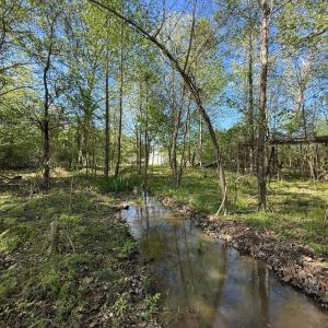 Photo #22 of 5829 Flower Hill Road, Kenly, NC 4.9 acres