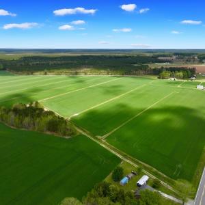 Photo #11 of 973 Mosely Road, Washington, NC 117.0 acres