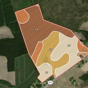 Photo #13 of 973 Mosely Road, Washington, NC 117.0 acres