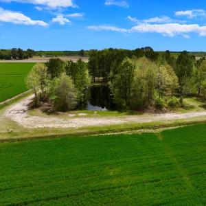 Photo #14 of 973 Mosely Road, Washington, NC 117.0 acres