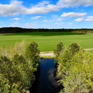 Photo #16 of 973 Mosely Road, Washington, NC 117.0 acres
