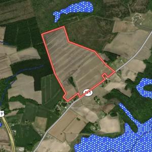 Photo #17 of 973 Mosely Road, Washington, NC 117.0 acres