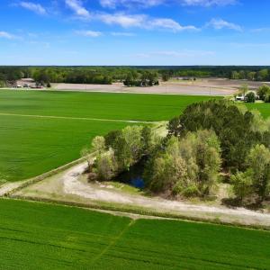 Photo #19 of 973 Mosely Road, Washington, NC 117.0 acres